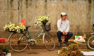 Vietnam in Focus (HANOI)
