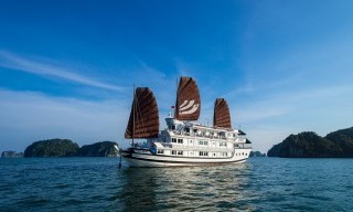 Bhaya Cruises (HANOI)